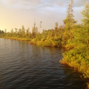 Meet your Posher, Zander